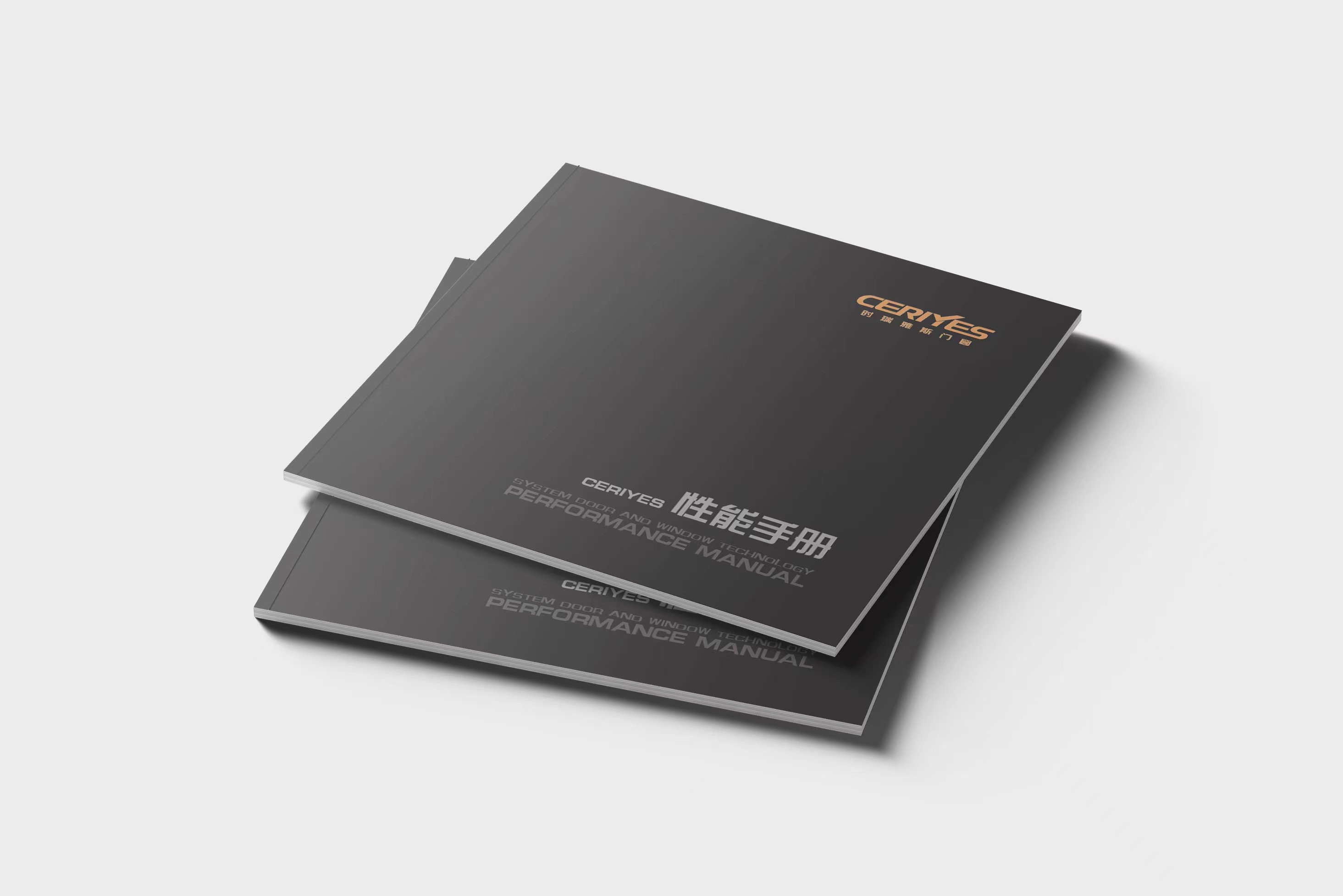 時瑞雅斯?fàn)I銷畫冊